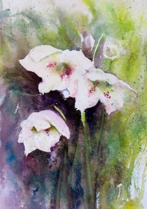 Christmas Roses, watercolor, 14x10 inches