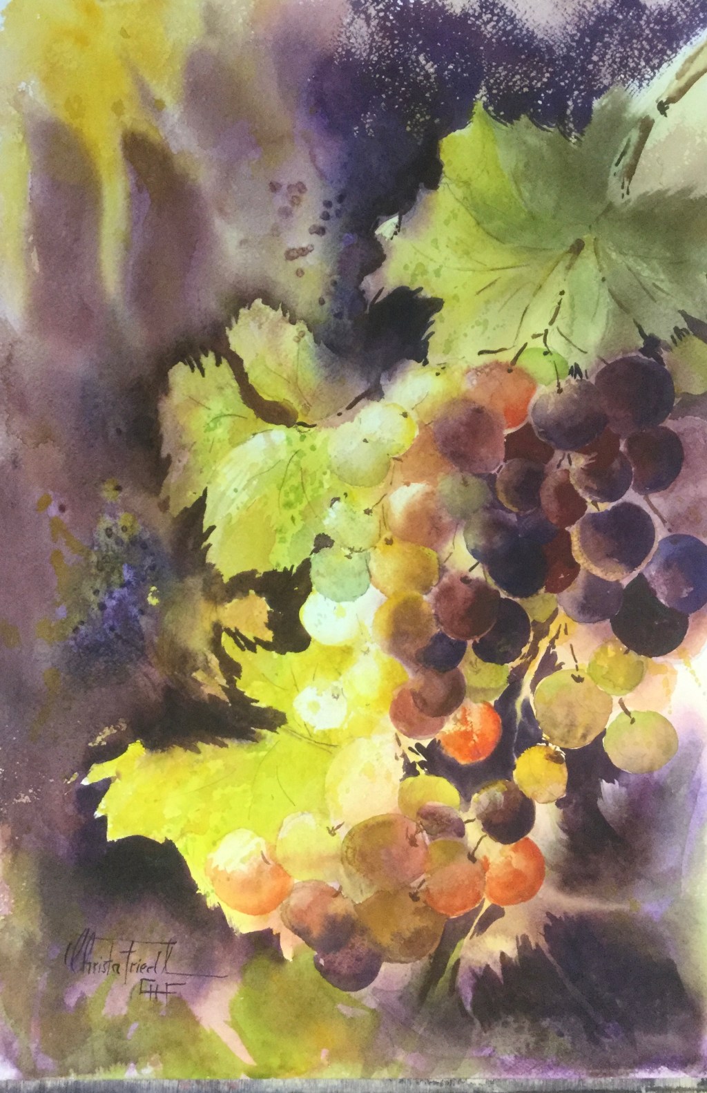Sunlit Grapes