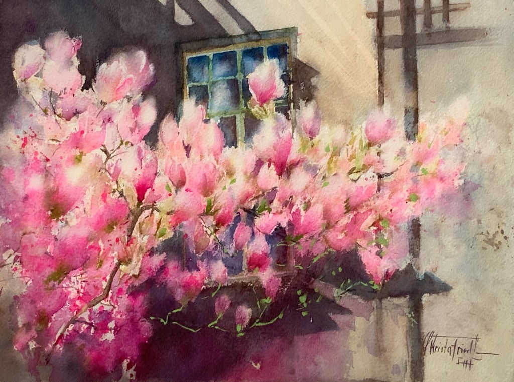 Spring time  is Magnolia&nbsp;time